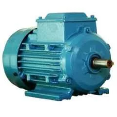 3.7 kW Two Pole Motor