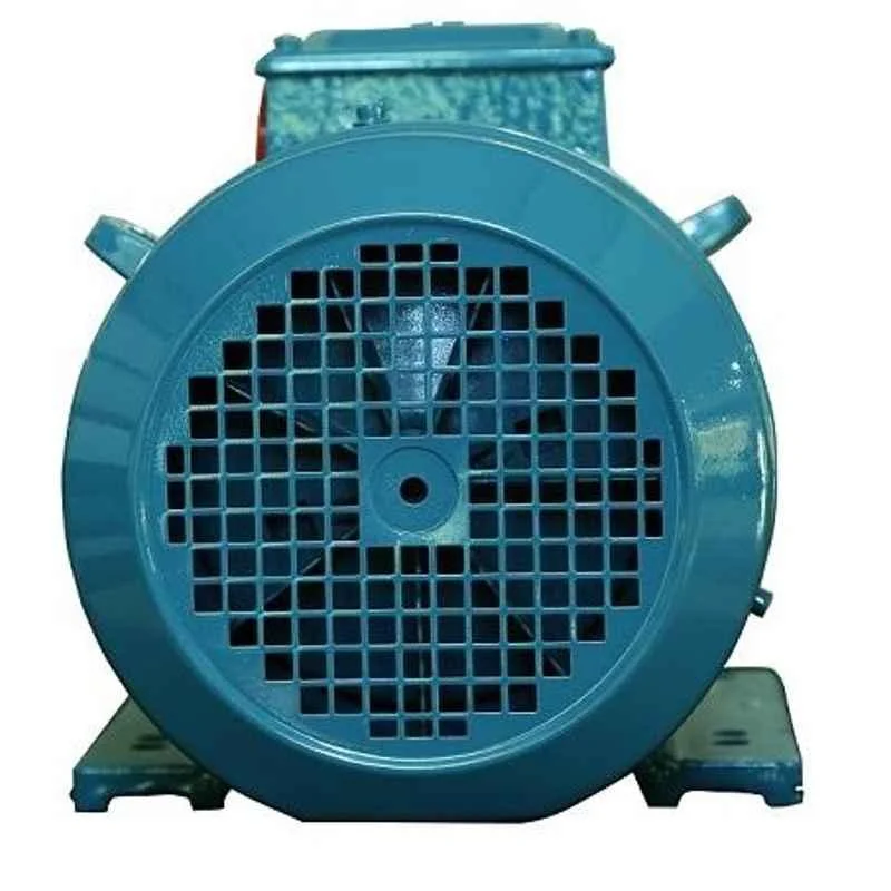 3.7 kW Two Pole Motor