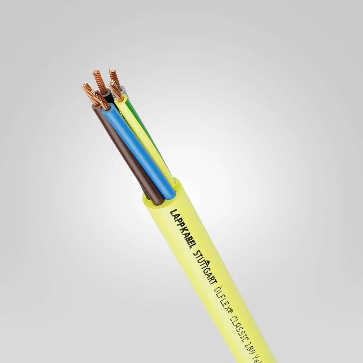 LAPP ÖLFLEX 100 I 4G2.5 Flexible Control Cable